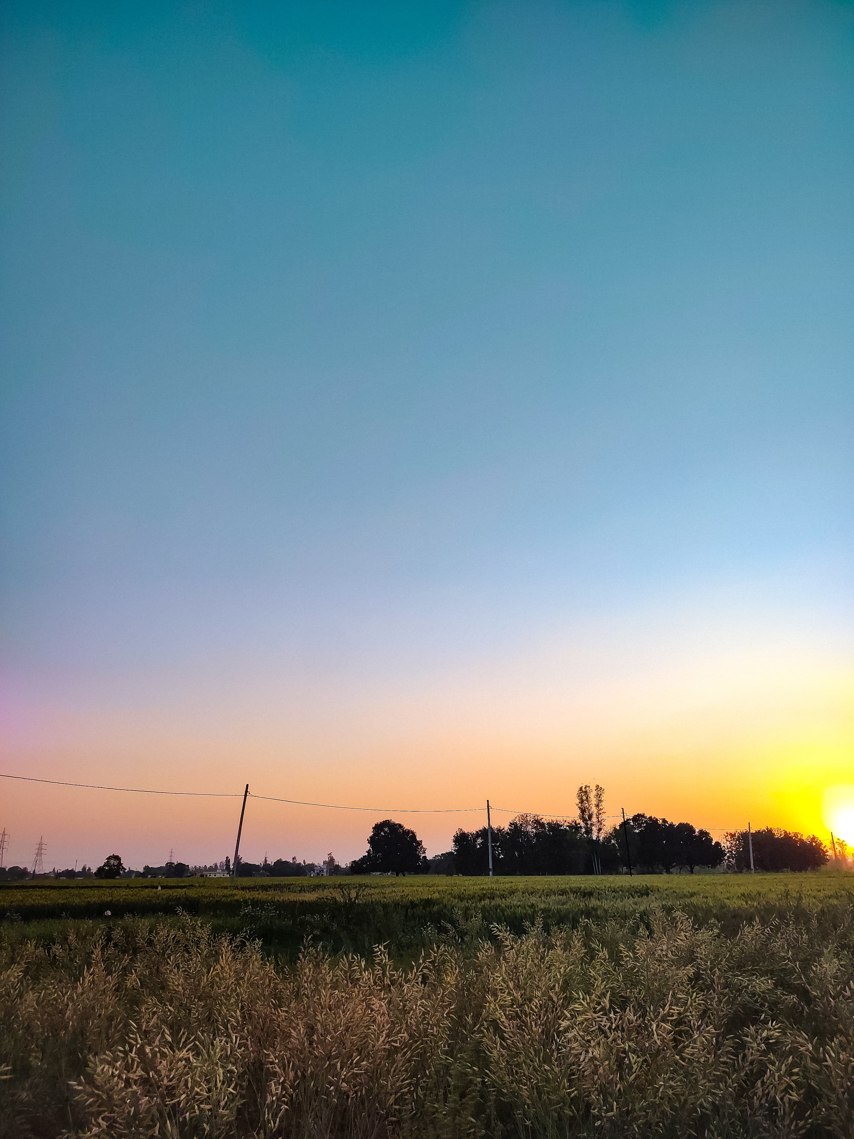 Landscape photography of framland